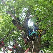 Picture 035